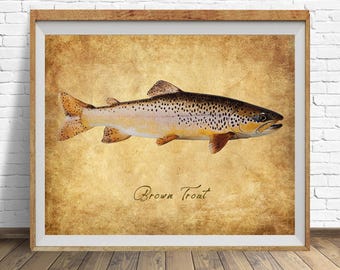 Brown Trout Poster, Vintage Fish Print, Fly Fishing Decor, Trout Print, Gifts for Fisherman, Fathers Day Gift, Man Cave #vi1828