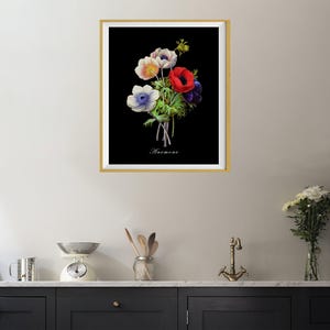 May include: A framed botanical print of a bouquet of white, pink, red, and blue anemones on a black background. The print is titled "Anemone".