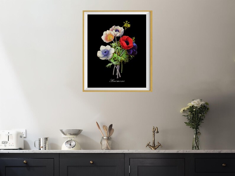 May include: A framed botanical print of a bouquet of white, pink, red, and blue anemones on a black background. The print is titled "Anemone".