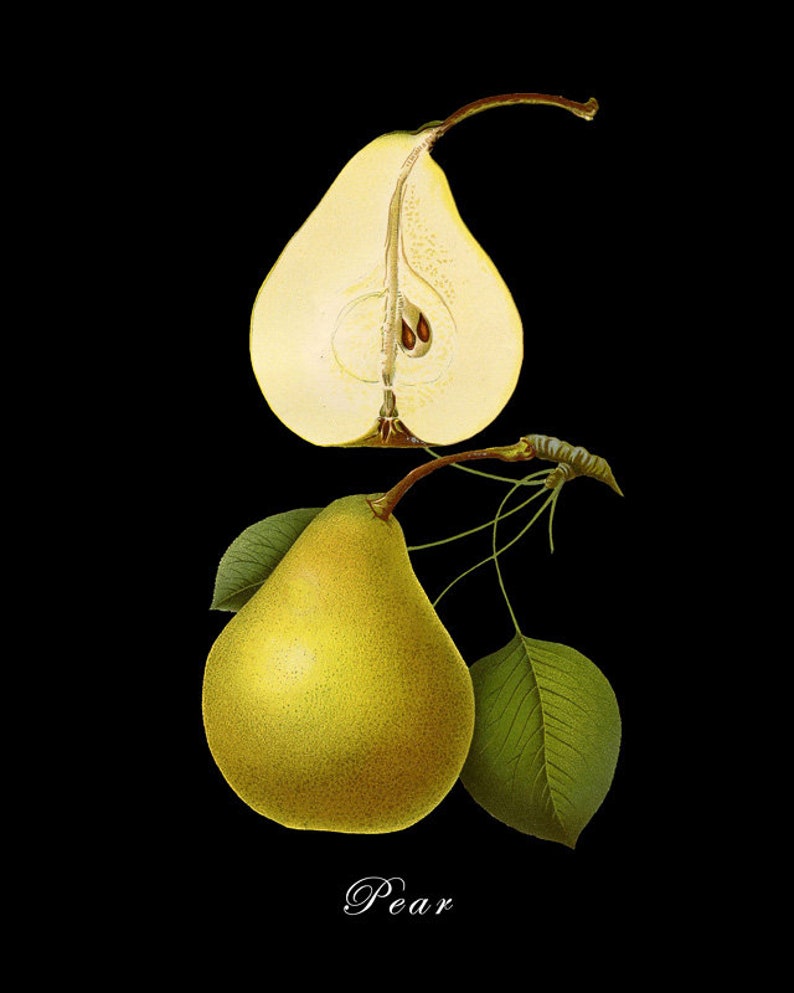 May include: A green pear with a brown stem and leaves. The pear is cut in half to show the inside, which is white with brown seeds. The text "Pear" is written in white cursive below the pear.