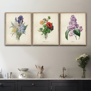 May include: Three vintage botanical prints featuring a purple iris, a bouquet of red and white anemones, and a cluster of purple lilacs. Each print has a white background and the name of the flower is printed below the image.