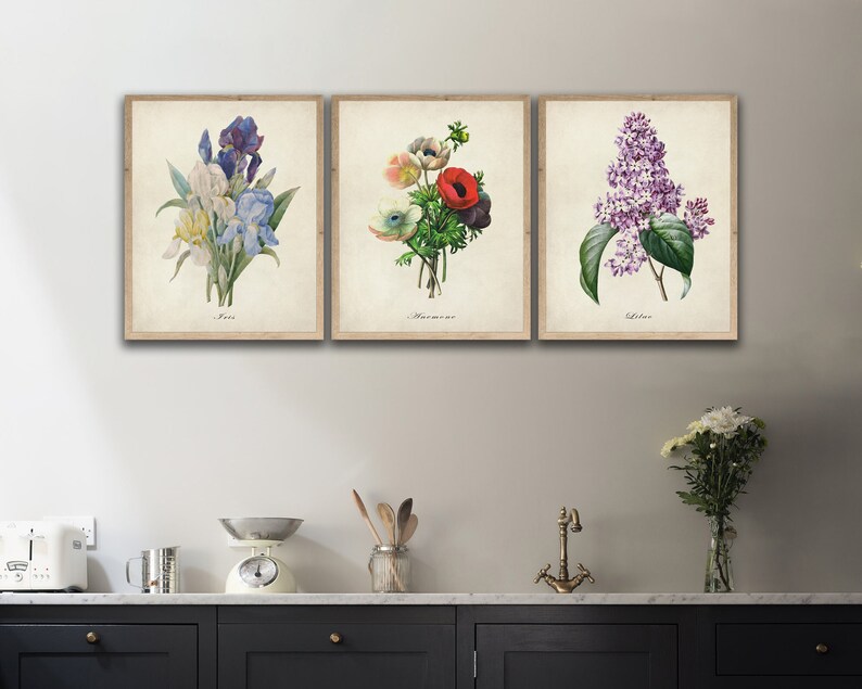 May include: Three vintage botanical prints featuring a purple iris, a bouquet of red and white anemones, and a cluster of purple lilacs. Each print has a white background and the name of the flower is printed below the image.