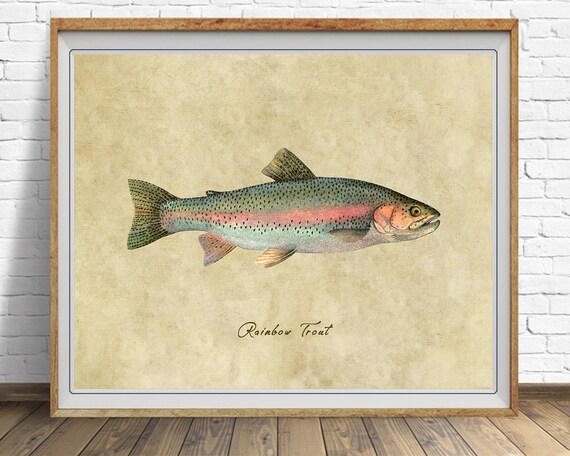 Rainbow Trout Art, Fishing Poster, Trout Print Gifts for Fisherman