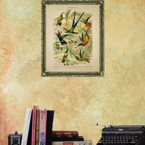 May include: A framed vintage print of hummingbirds, titled "Kolibri" in a gold frame, with a typewriter and books on a dark wooden surface.