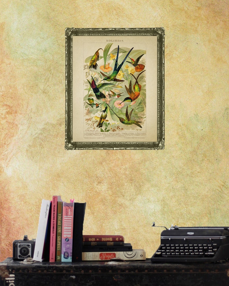 May include: A framed vintage print of hummingbirds, titled "Kolibri" in a gold frame, with a typewriter and books on a dark wooden surface.