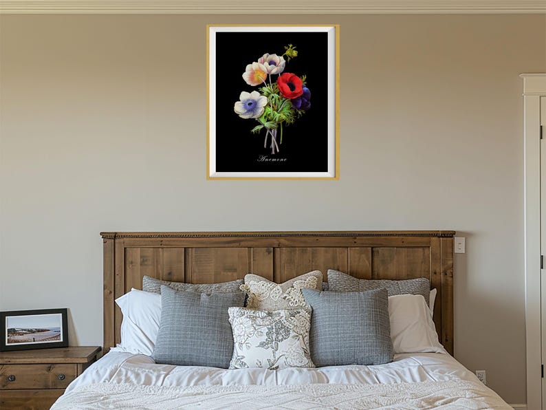 May include: A framed botanical print of a bouquet of white, red, and blue anemones on a black background. The print is titled "Anemone".