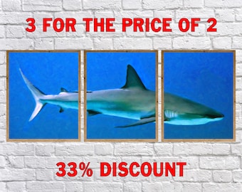 Great White Shark Poster, Set Of 3, Shark Print, Great White Shark Art, Fish Poster Discount Sale Wall Art #vi581