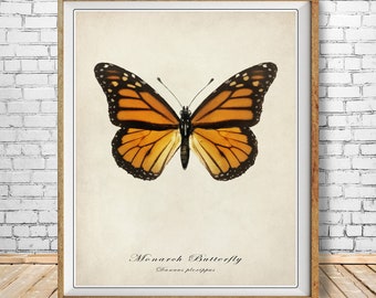 Monarch Butterfly Poster, Vintage Butterfly Print, Insect Illustration Wall Art Biology Poster Home Decor #vi1525