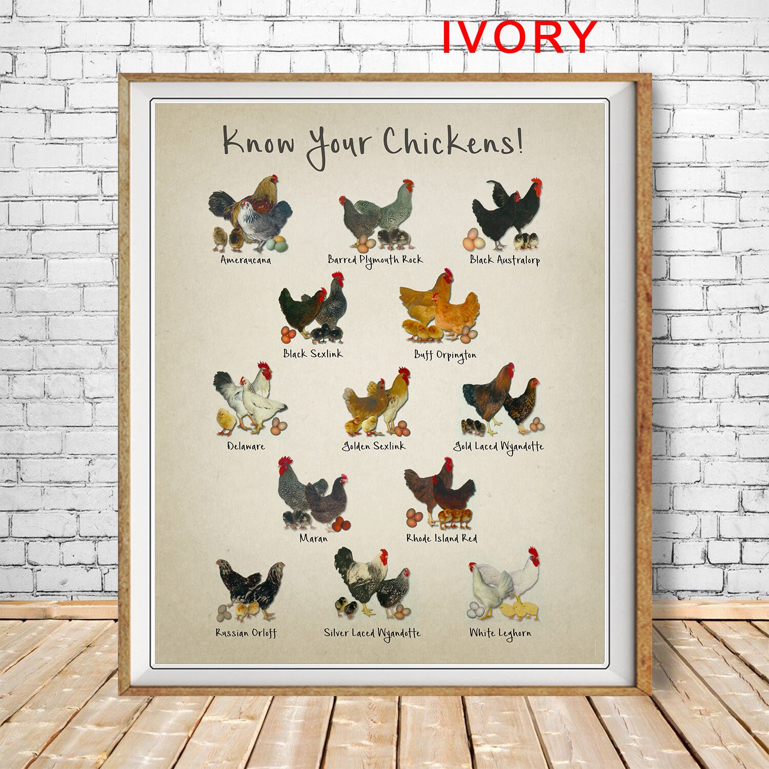 Chicken Breeds Chart Print Vintage Poultry Print Chicken | Etsy