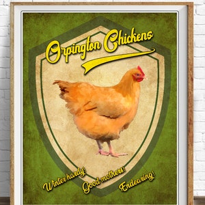 Vintage Chicken Poster, Orpington Chicken Print, Backyard Chicken Print, Chicken Breeds Print, Poultry #vi1484