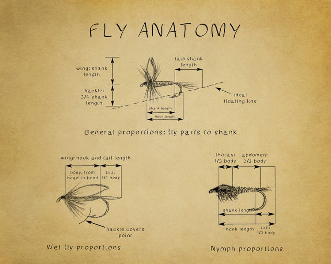 Fly Fishing Poster Fly Tying Diagram Fly Fishing Print Chart