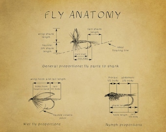 Fly Fishing Poster - Fly Tying Diagram - Fly Fishing Print - Chart - Poster Wall Art Decor Man Cave #vi355