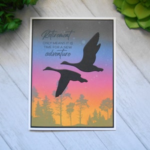 Carte de retraite panoramique - « La retraite signifie seulement qu'il est temps pour une nouvelle aventure » Carte de voeux de retraite vierge Sunset oies