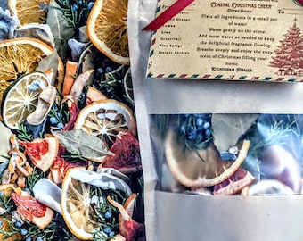Coastal Winter Cheer Citrus Simmer Pot Gift Pine seashells juniper lemon lime orange Pre Order