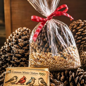 May include: A pinecone coated in birdseed inside a clear plastic bag tied with a red ribbon featuring a heart pattern. A rectangular tag is attached, displaying the text Common Winter Visitors with illustrations of four birds and the text Your feeder helps many!