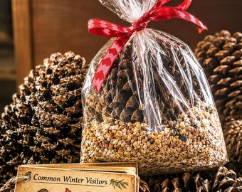 Pinecone Bird Feeder Kit | Kids Nature Craft, Outdoor Activity, Woodland Homeschool Supplies