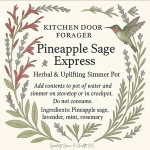 Può includere: Un'etichetta quadrata color crema con il testo "KITCHEN DOOR FORAGER Pineapple Sage Express Herbal & Uplifting Simmer Pot". L'etichetta include un'illustrazione di colibrì e illustrazioni botaniche. Gli ingredienti includono salvia ananas, lavanda, menta e rosmarino.