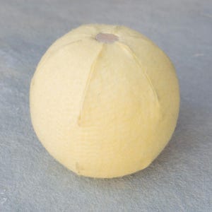 May include: A light yellow felt ball with a small brown circle in the center. The ball has a textured surface and is slightly flattened on the top.