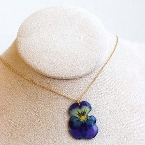 Real pansy flower necklace pendant on gold chain worn on neck