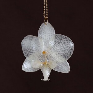 Collar con colgante de orquídea blanca, joyería con flores prensadas auténticas