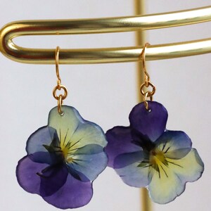Pressed pansy flower earrings hanging on gold hooks
