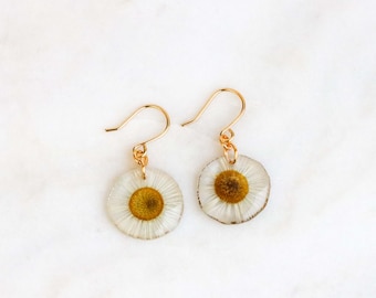 Real Pressed Daisy Resin Earrings, Gold Hooks, Botanical Jewelry