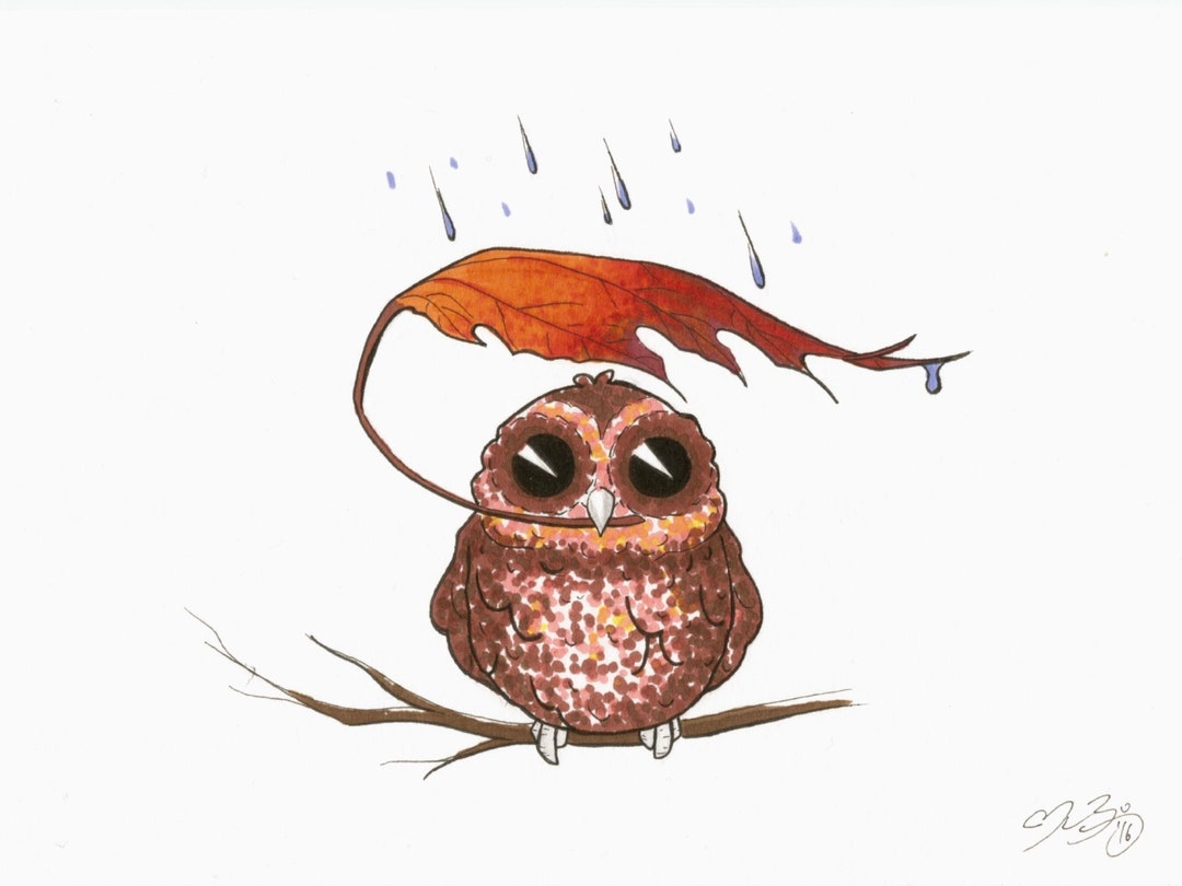 Moist Drawing Example 5x7 Owl Art Print: 'moist Owlet' Pen & Ink Drawing - Etsy