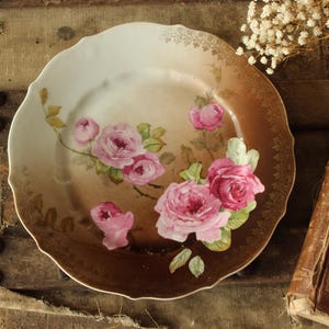 Vintage Antique 1800s 1900s Plate, CT Carl Tielsch Austria Pink and Brown Rose Floral Pattern,Altwasser