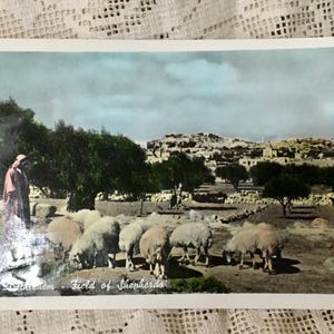Vintage gekleurde glanzende toerismekaarten uit Jordanië - geschreven en poststempel - ongebruikelijke vondst - souvenir van Jordanië