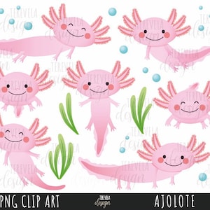 AXOLOT clipart, ajolote clipart, commercial use, animal, kawaii axolotl, cute animals, water monster, mexico, cute animals, ajolotes, kawaii