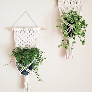 Macrame plant hanger, wall plant hanger, rope plant hanger, set of 2, single item, macrame plant hanger set, plant lover gift, gifts for her