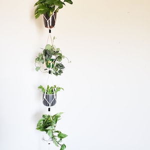 May include: A white macrame plant hanger with three potted plants hanging from it. The plants are in black and white pots. The hanger is attached to a black metal hook on a white wall.