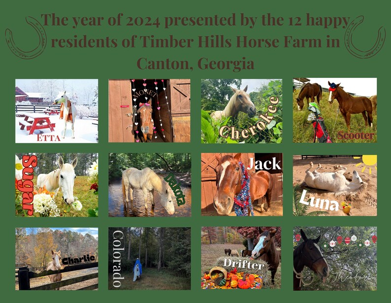 HORSE 2024 Wall Calendar Etsy