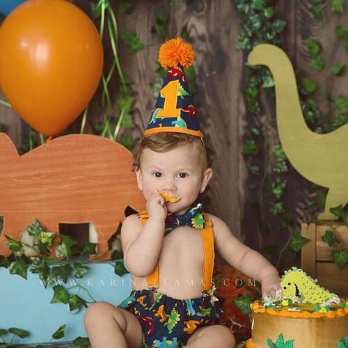 Cute Blue Dinosaur Baby Boy Cake Smash Outfit 1st Birthday Photo Shoot 