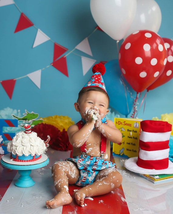 cat in the hat 1st birthday outfit