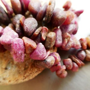 May include: Close-up of a collection of rough-cut ruby gemstones. The stones vary in shades of pink, red, and brown, with a textured, natural appearance. The gemstones are arranged on a light-coloured surface.