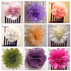 May include: Nine tissue paper flowers in various colours and styles, including peonies, carnations, roses, and daisies. Each flower is labelled with the flower type and the brand name "Paperbloomz".