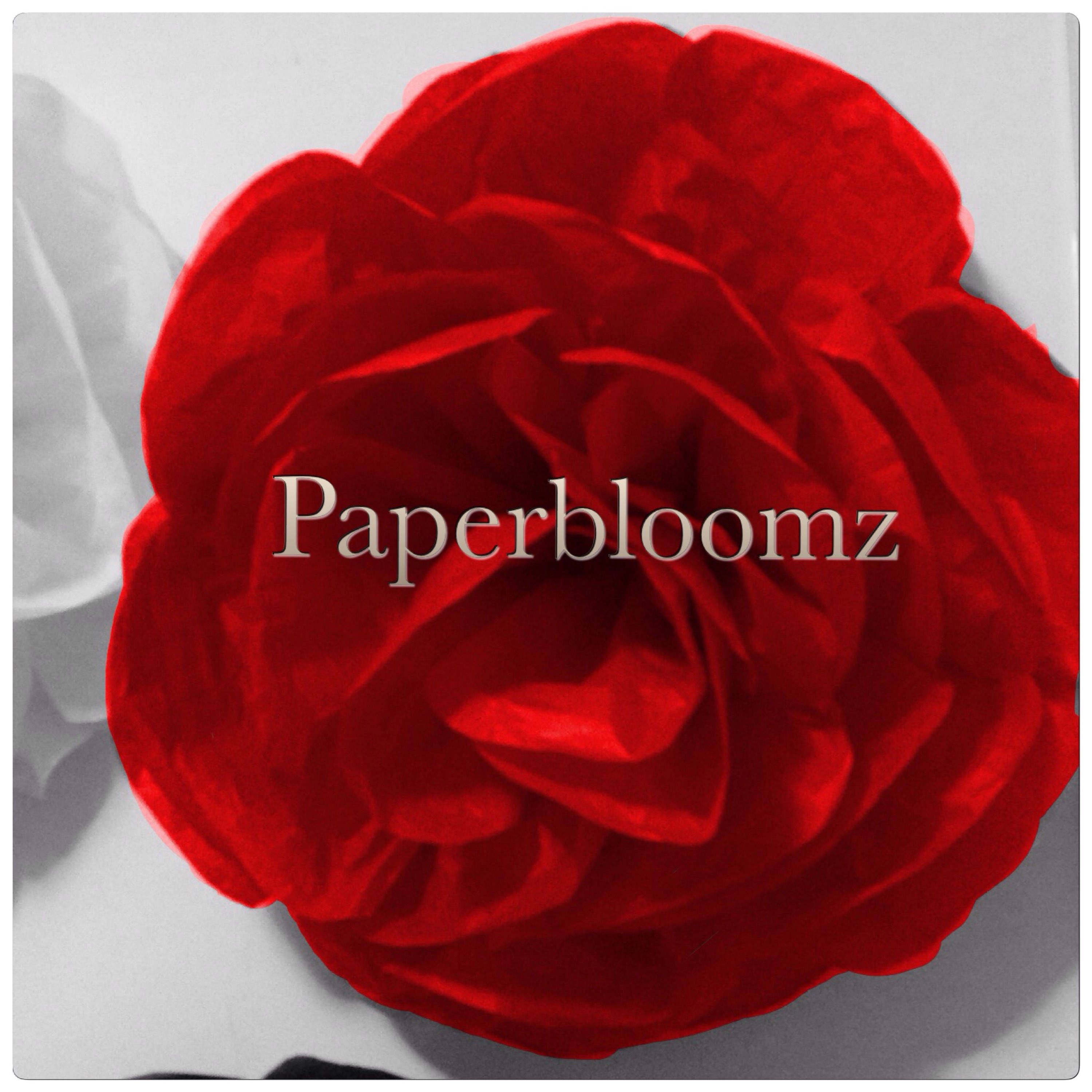 Set of 5 X Large Paper Roses Bulk Wedding Flowers Backdrops - Etsy