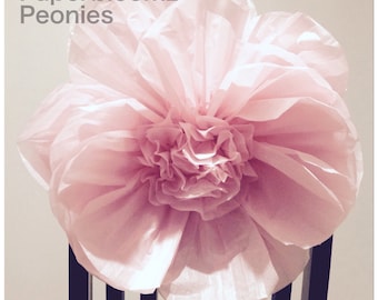 May include: A large, pink paper flower, resembling a peony, is displayed on a black and white striped chair. The flower is made of tissue paper and has a ruffled texture. The text "Paperbloomz Peonies" is visible in the top left corner of the image.