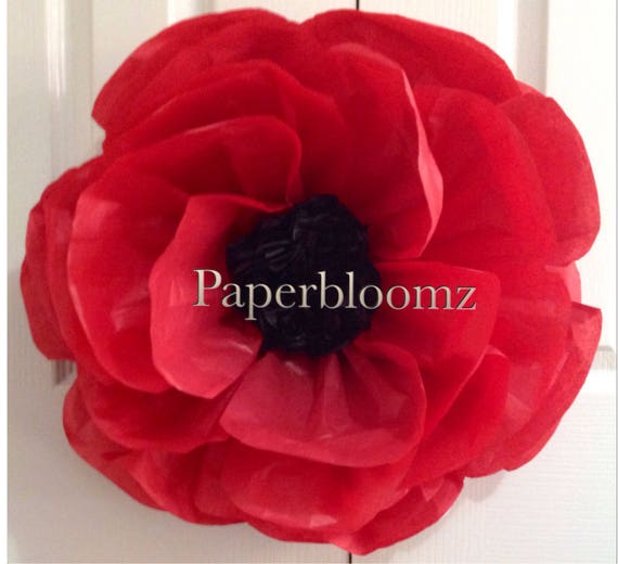 Poppies and Paper