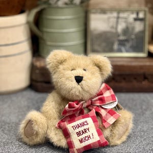 May include: A soft, tan teddy bear with a red and white checked bow and a small cushion. The cushion reads "THANKS BEARY MUCH!" in red. The bear is on a grey surface.