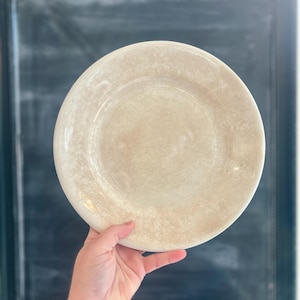 Antique Anthony Shaw England Stained Ironstone Plate