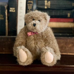 May include: A soft teddy bear with light brown fur, a pink bow tie, and tan paw pads. The bear is positioned in front of a collection of antique books with dark covers.