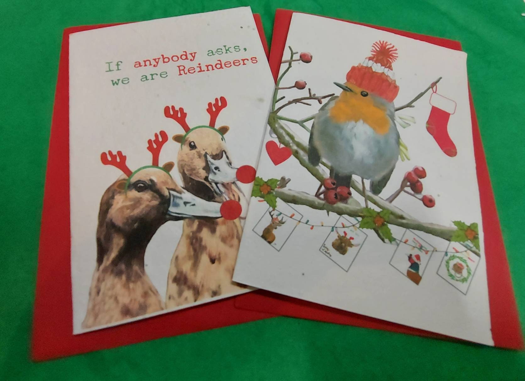 Plantable Christmas Seed Cards Eco Friendly Christmas Cards Etsy UK