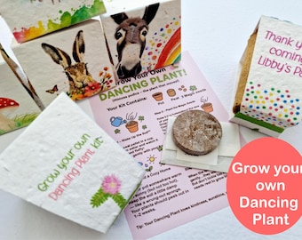Grow your own dancing plant kit- Mimosa pudica- seed growing kits for children - personalised