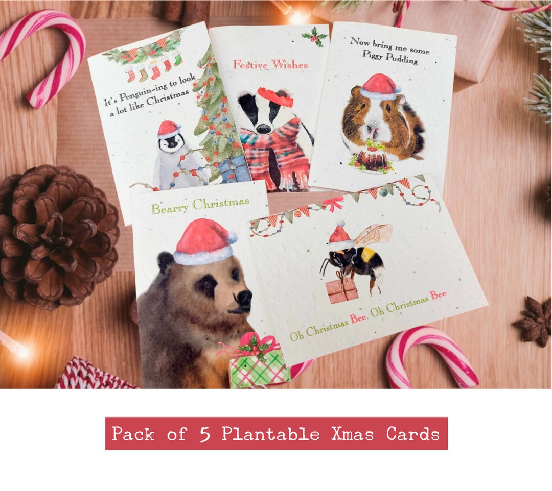Plantable Christmas Seed Cards Eco Friendly Christmas Cards Flower Seed