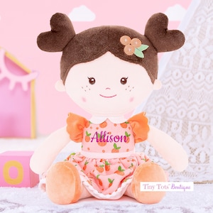 Personalized Dolls, Rag Doll, Custom Rag Doll, Baby Shower Gift, First Baby Doll, Plush Doll, Personalized Dolls for Baby Girls