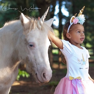 Magical Unicorn Headband ~ Unicorn Head Piece With Rhinestones ~ Customize in any colors!!