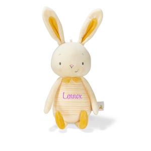 Personalized Plush Bunny Stuffed Animal – Custom with Name