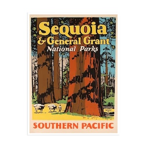 Sequoia National Park California Travel Poster Redwood Forest Art (H766)a